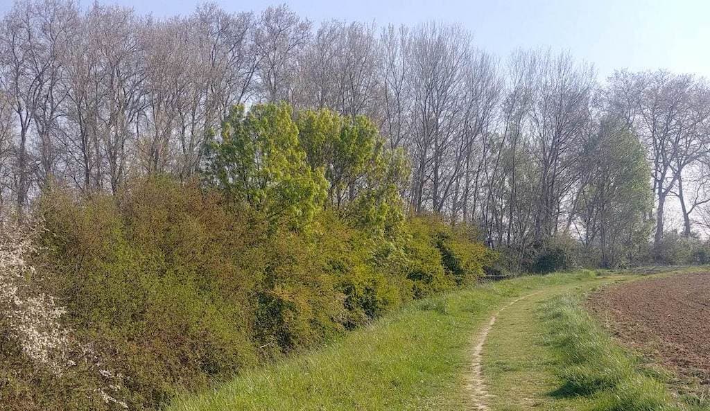 sentier