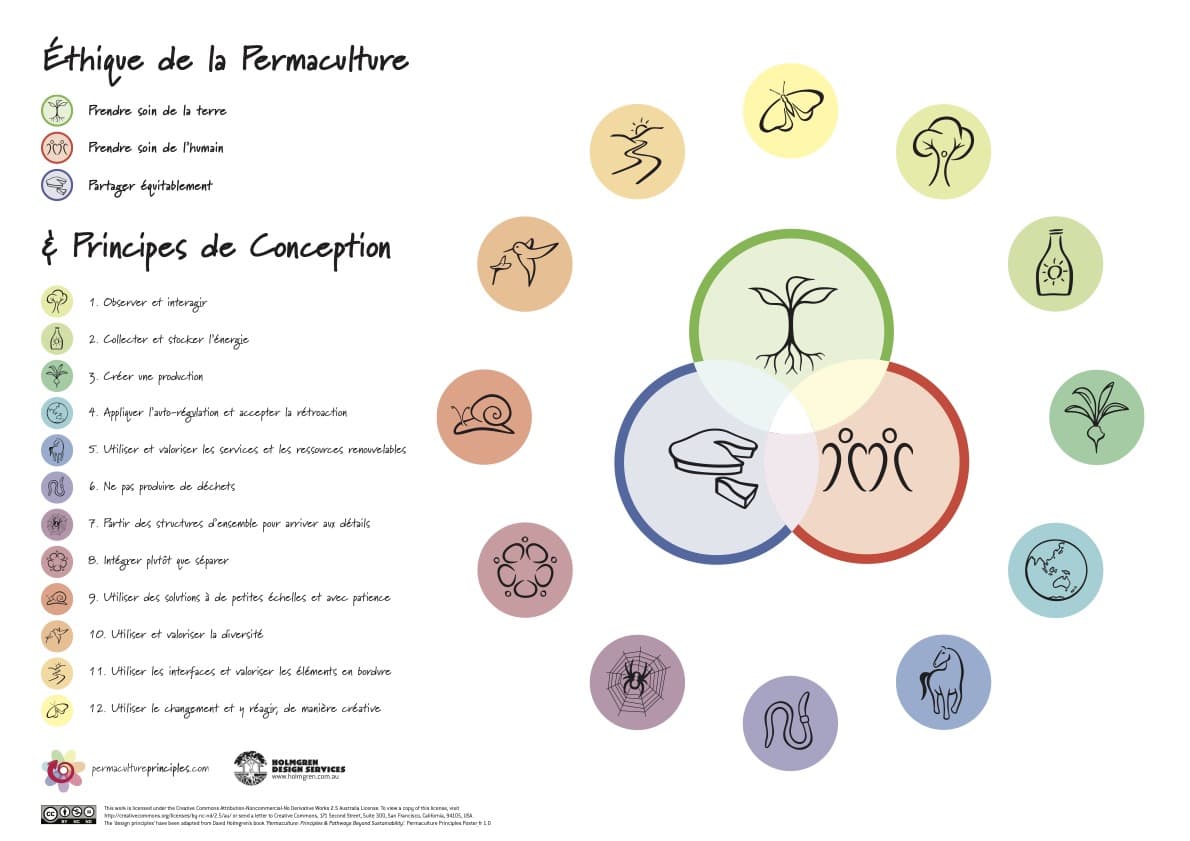 Les principes et l'éthique de la permaculture